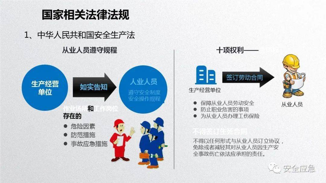2023年安全培训必备10部警示片及新员工三级安全培训课件