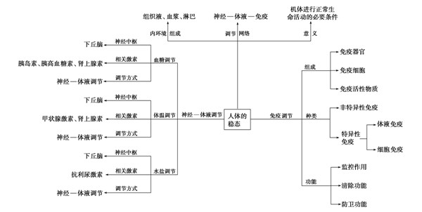 高考生物知识总结：生物变异育种进化及人体内环境稳态要点