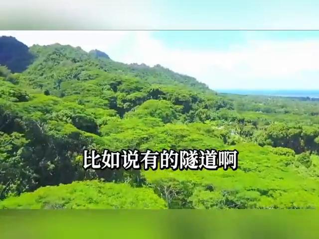 高速限速120开130算超速吗?不同车型处罚标准有别