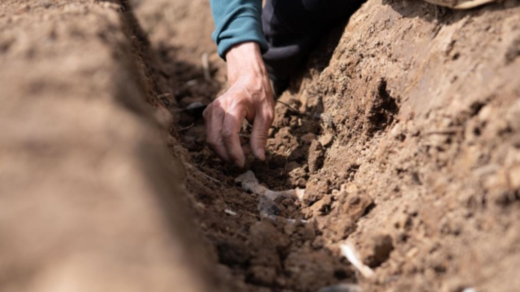 英国肯特郡爆发侵袭性脑膜炎球菌病,造成 2 人死亡