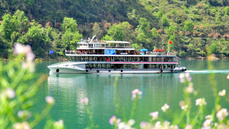 英国肯特郡爆发侵袭性脑膜炎球菌病,造成 2 人死亡