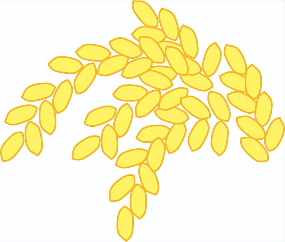 厦大社团青春不设限,西部梦想社团十九载点亮山区