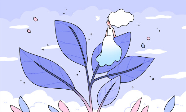 2025年内蒙古高考招生计划汇总,含多类高校招生详情