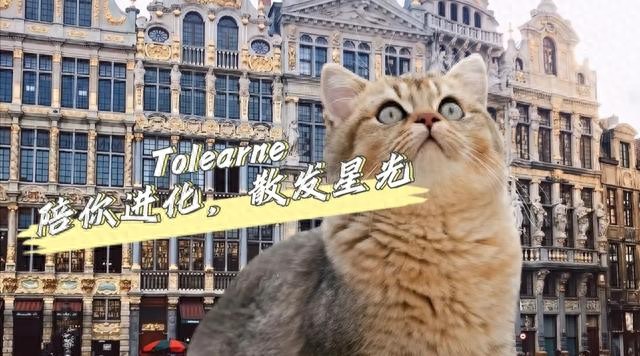 大学独来独往还是被迫合群？做好自己，把握机会实现蜕变